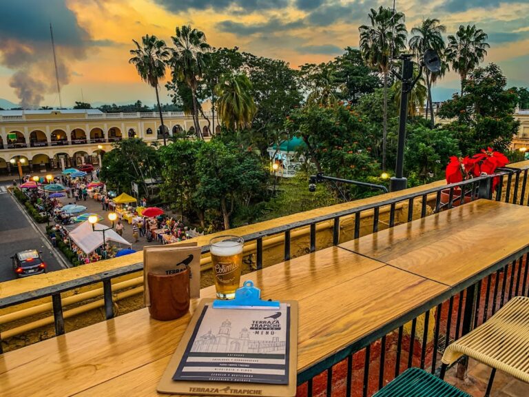 1078 terraza trapiche 768x576