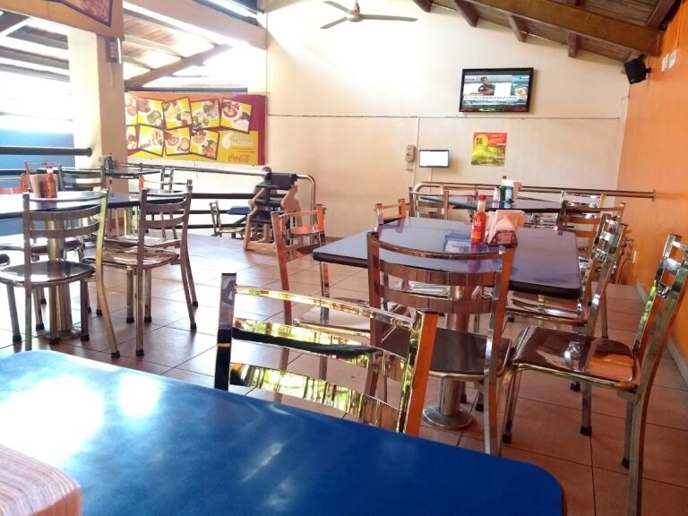 1192 el osito polar 768x576