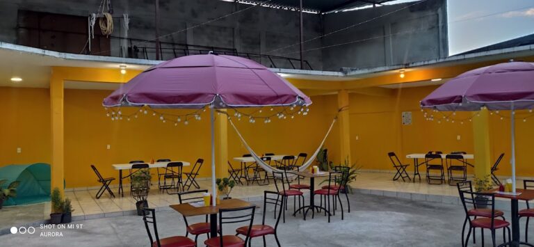 1287 mc. chuy 768x355