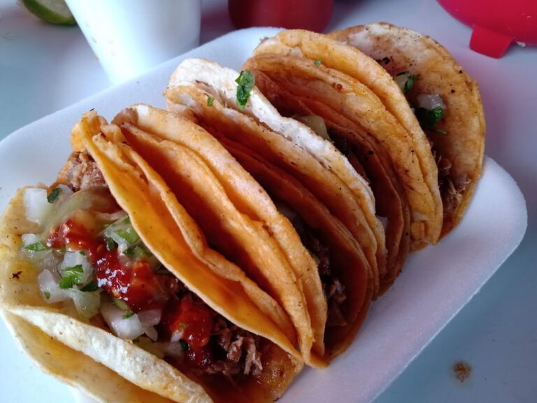 1579 consome y tacos de birria los tijuas 768x576
