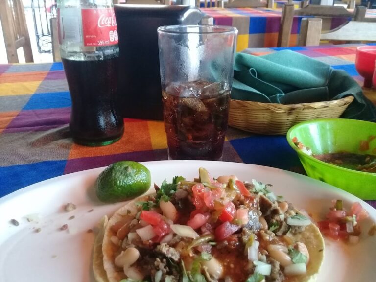 1583 torito pillin 768x576