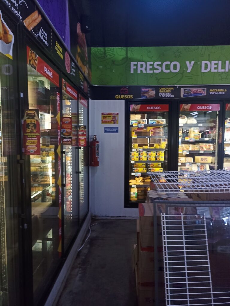 1798 mercado el colimense santiago 768x1023