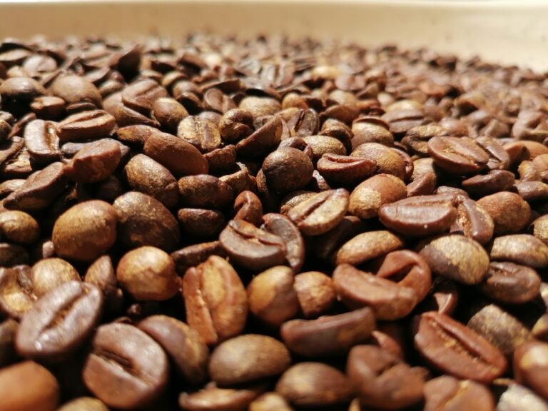 1804 restaurate cafe cafe 768x576