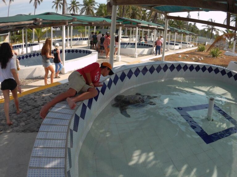 1855 centro ecologico de cuyutlan 8220el tortugario8221 768x576