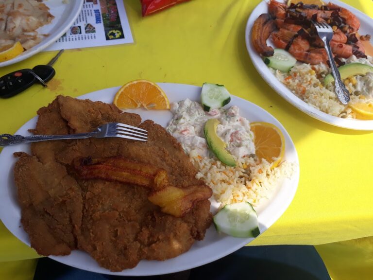 1936 las hamacas del mayor s.a. de c.v 768x576