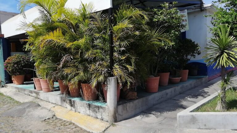 2050 cocina economica 8220ana8221 768x432