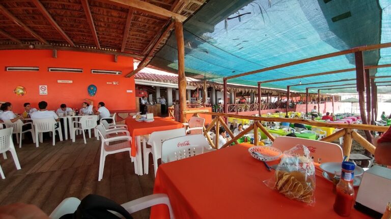 214 las hamacas del mayor s.a. de c.v 768x432