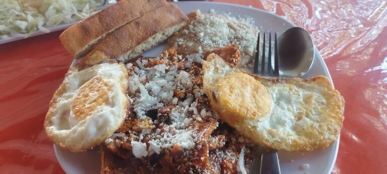 2270 loncheria soli 768x346