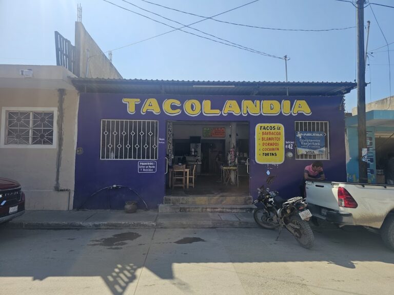 2390 tacolandia 768x576