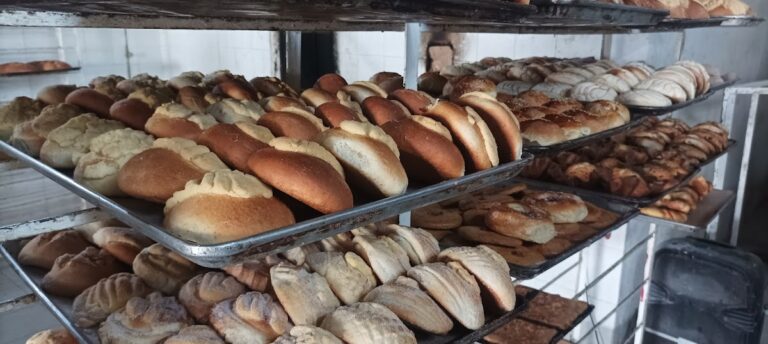 2603 panaderia pinocho 768x344