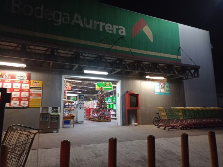 2634 mi bodega aurrera armeria 768x577