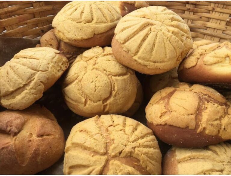 2695 panaderia diana comala 768x583