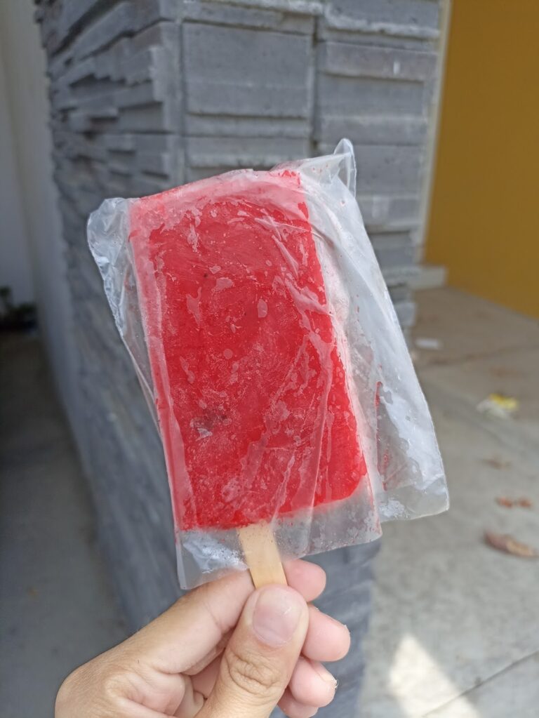 2863 paletas de hielo 768x1023