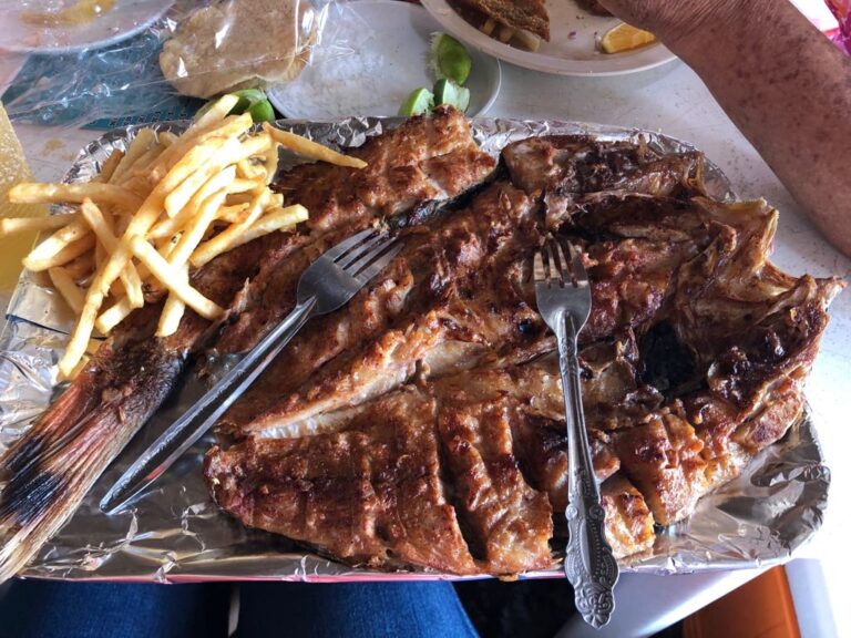 291 la mojarra 768x576