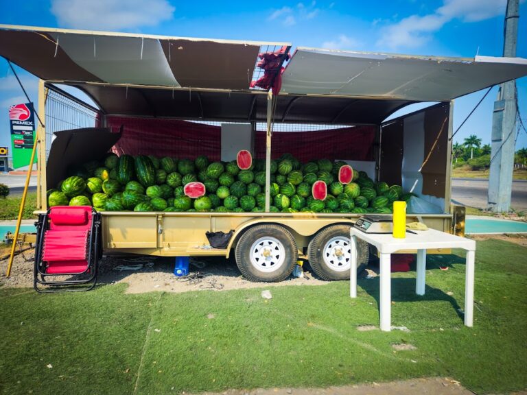 2912 sandias frescas 768x576