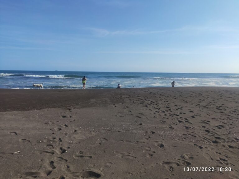 2927 malecon 8220paseo de los estados8221 768x576