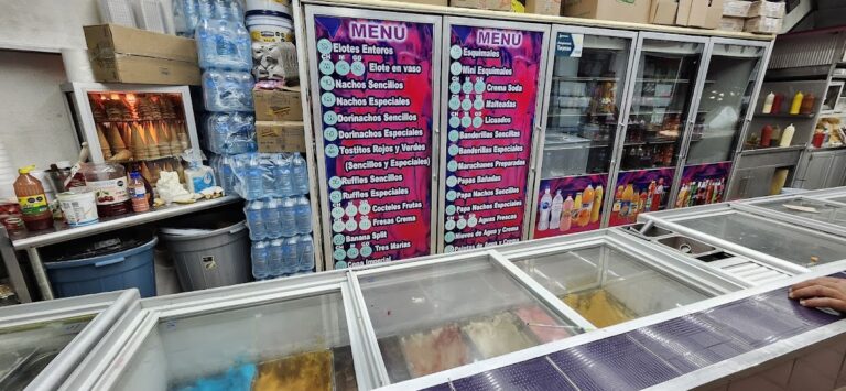 2966 paleteria y neveria la michoacana 768x355