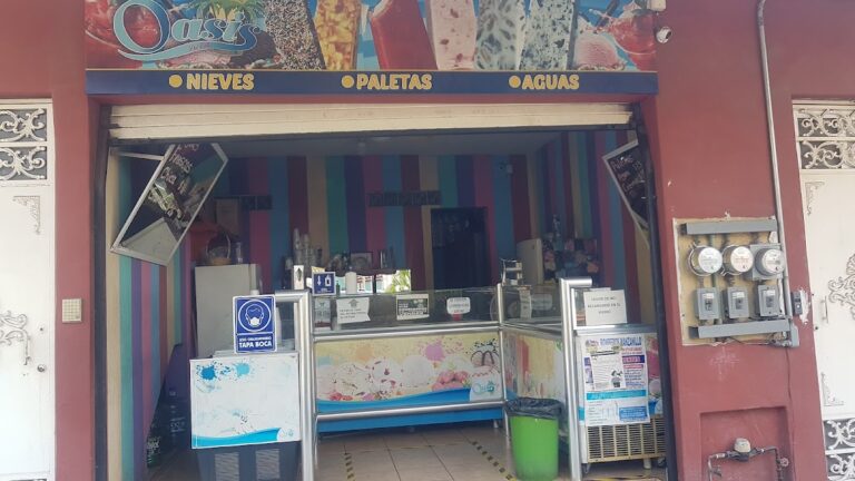 2975 paleteria y neveria oasis 768x432