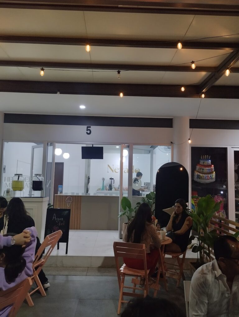 2984 el nevado 768x1020