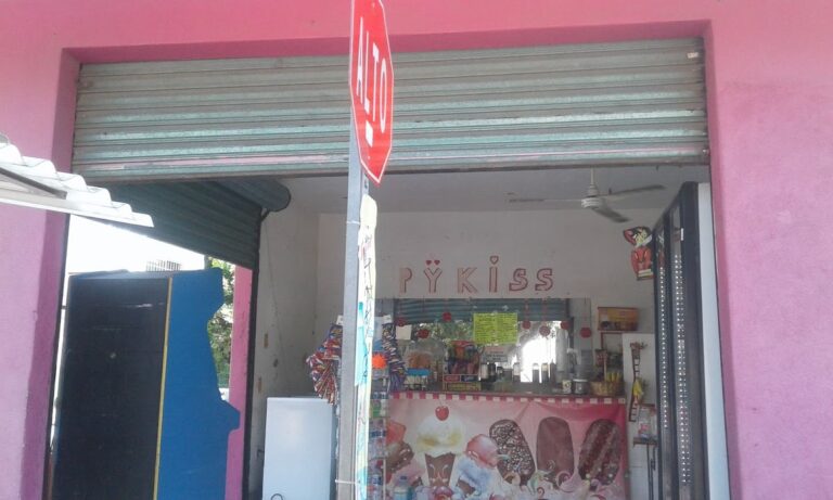 3017 fuente de sodas pykis 768x461