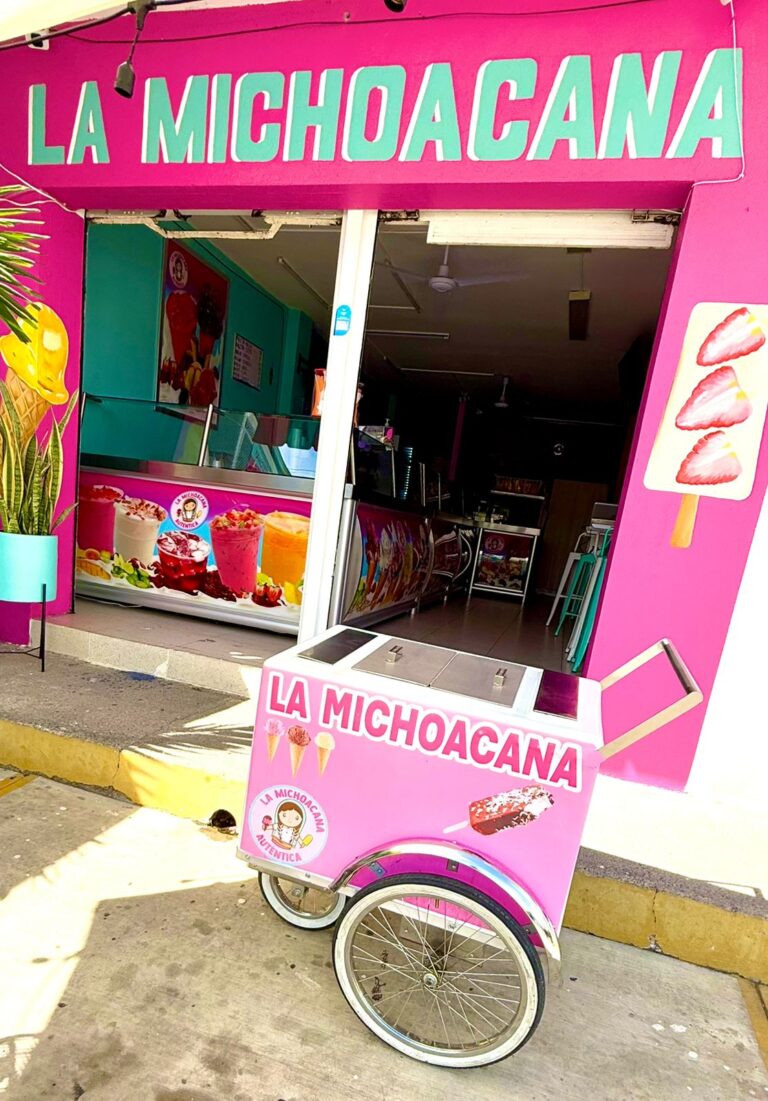 3060 la michoacana autentica 768x1101