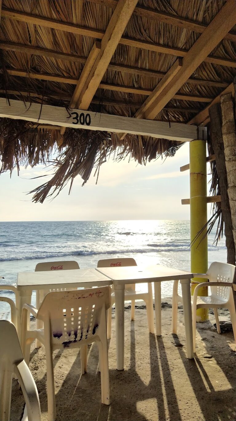 325 enramada los gueritos 768x1367