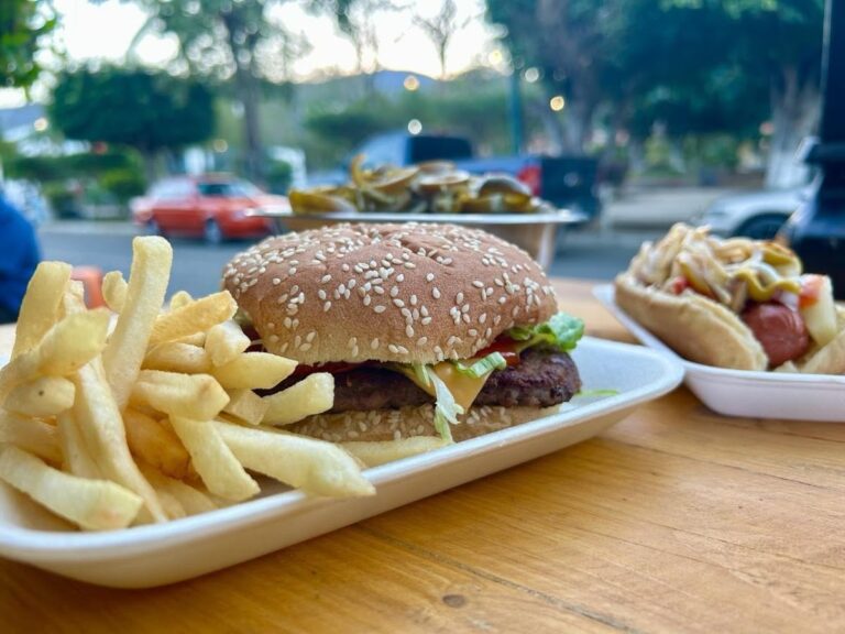 3300 dogos y hamburguesas carmen 768x576