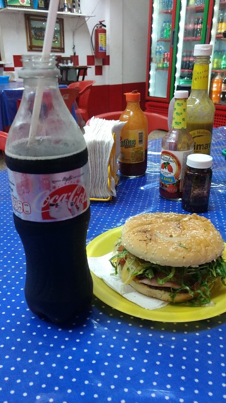 3344 hamburguesas y hot dogs america 768x1365