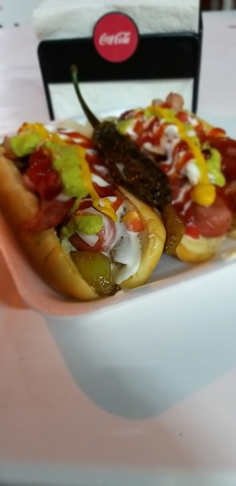 3409 dogos y hamburguesas fridas 768x1581