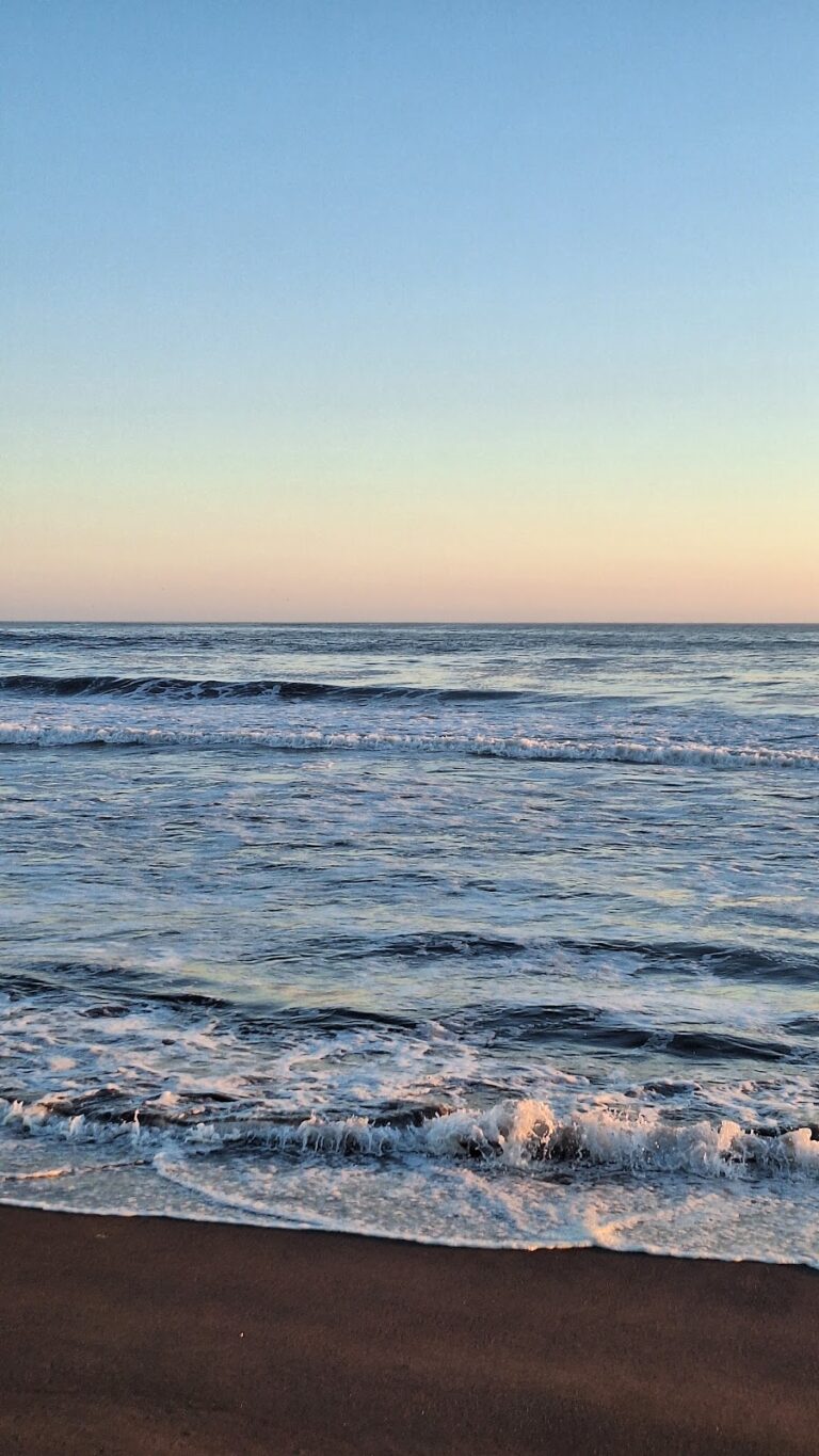 3607 cuyutlan magico 768x1365