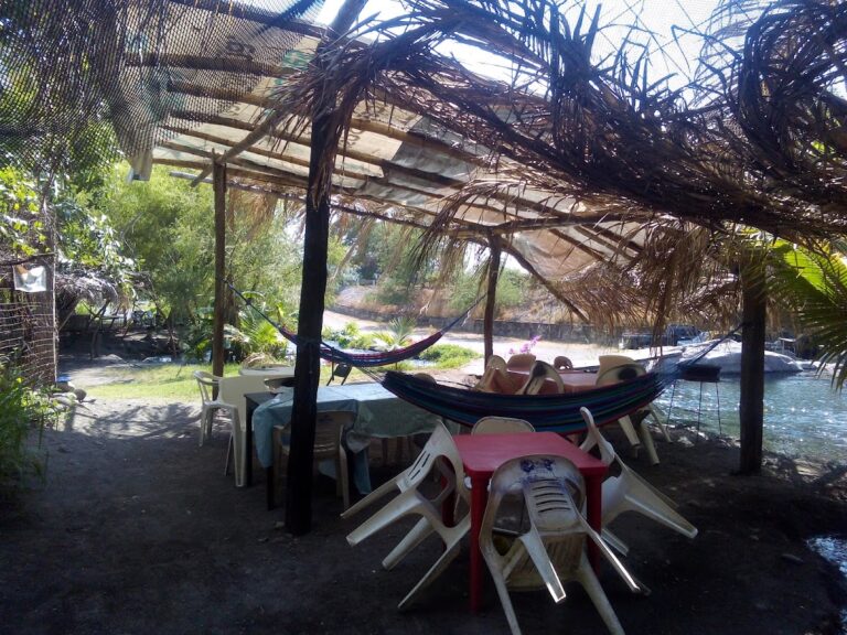 365 restaurante los amiales 768x576