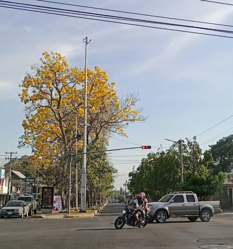 3697 mi cocina 768x818