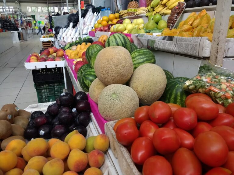 3750 mercado obregon 768x576