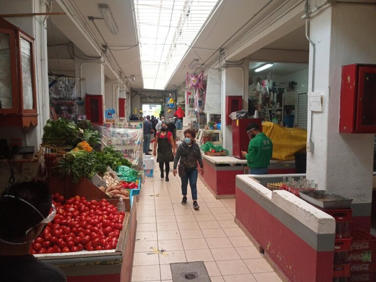 3767 mercado colima 768x576