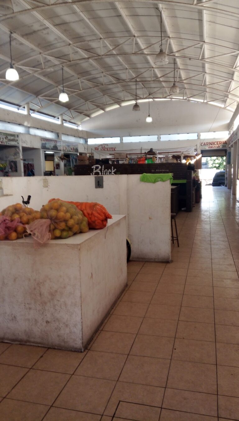 3771 mercado municipal de armeria 768x1355