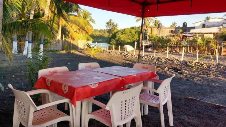 3775 cocina economica abarrotes y campamento 8220rafles8221 768x432