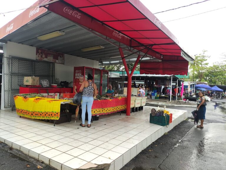 3781 mercado las pulgas de la feria de colima 768x577