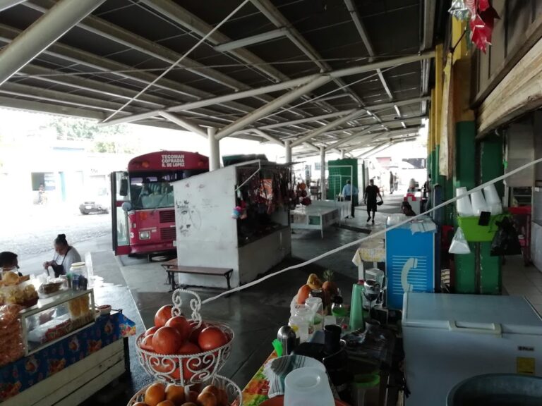 3785 mercadito de tecoman 768x576