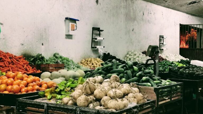 3806 bodega mickey 768x432