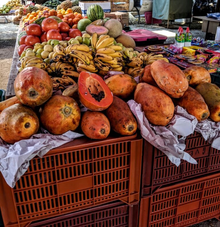 3809 tianguis de santiago 768x791