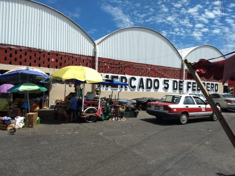 3829 mercado 5 de febrero 768x576