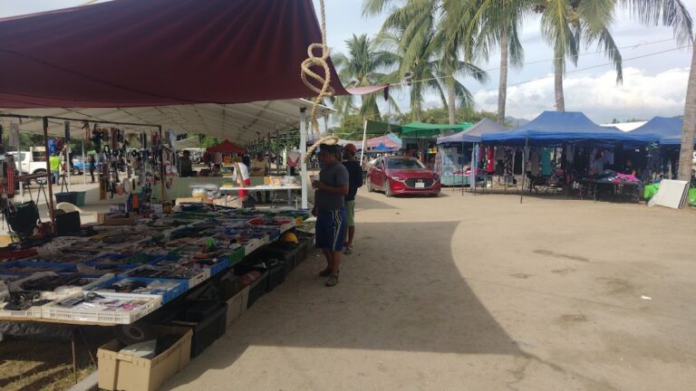 3848 tianguis la pulga 768x432