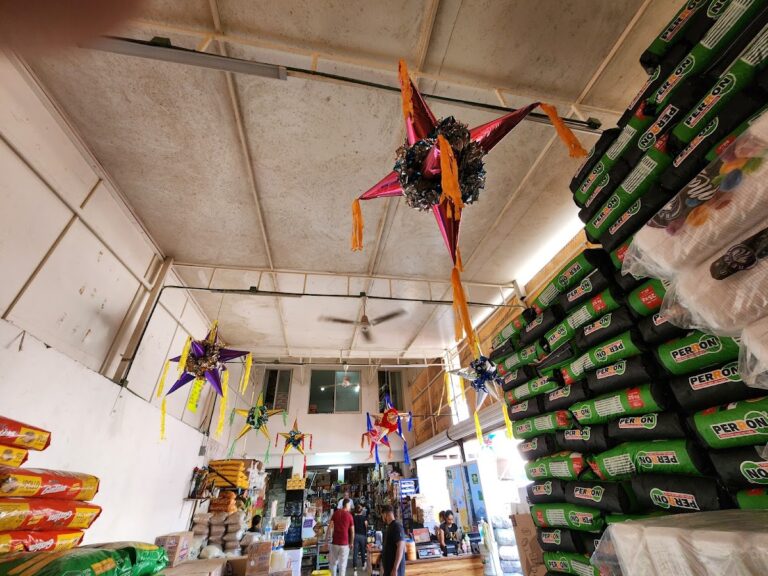 3850 comercializadora chachos 768x576