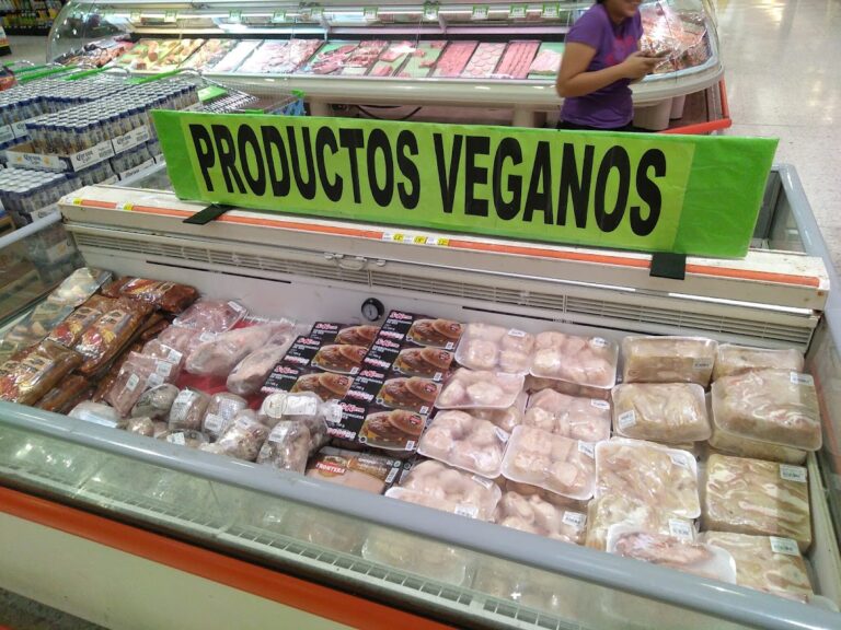 3866 plaza manzanillo 768x576