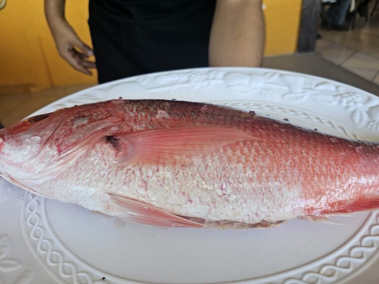 3883 mercado de pescadores 768x576