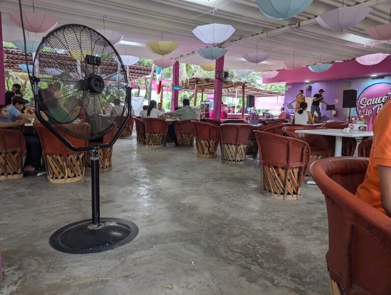 389 el sauce y la palma 768x579