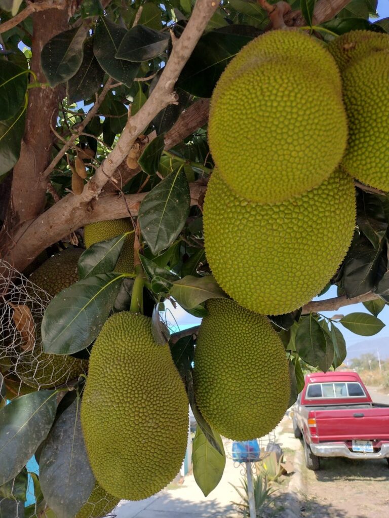 3894 paradero 8220la reserva8221 768x1023