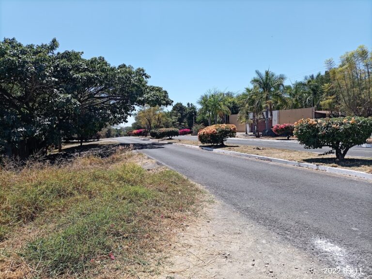 3959 zona magica 768x576