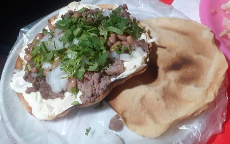 3997 tacos teno 768x480