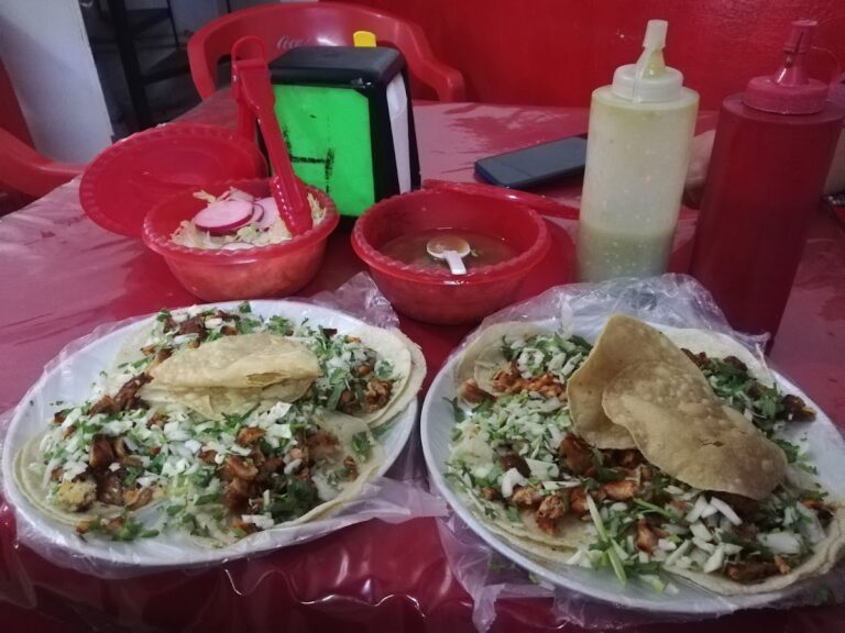 4005 taqueria tecoman 768x576